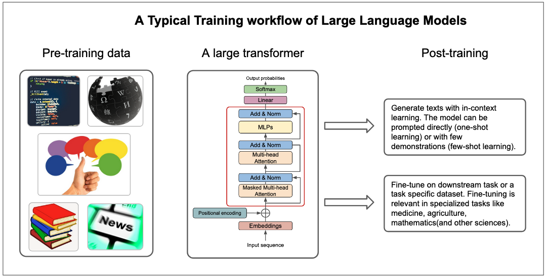 Training Workflow of Large Language Models